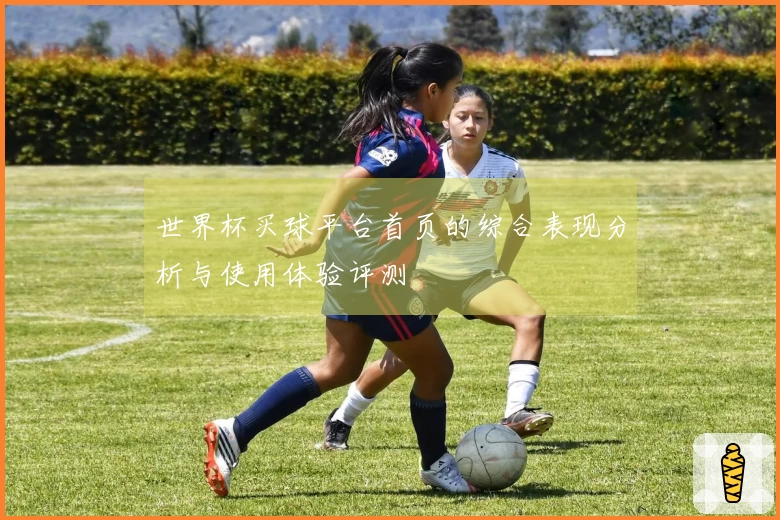 世界杯买球平台首页的综合表现分析与使用体验评测