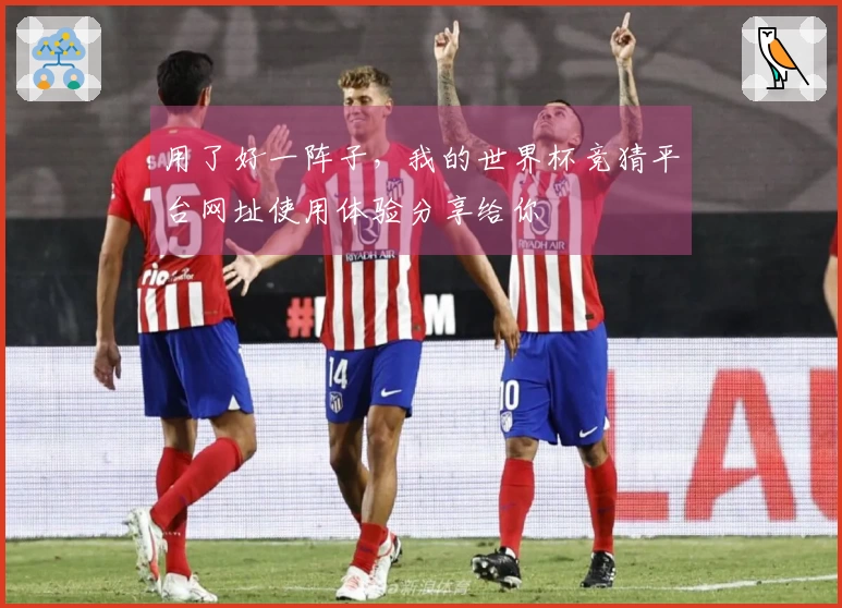 用了好一阵子，我的世界杯竞猜平台网址使用体验分享给你